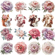 Peonies flowers clipart featuring soft pink spring blooms