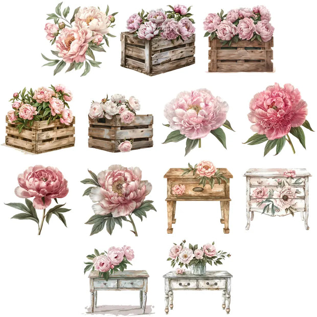 Peonies flowers clipart featuring soft pink spring blooms