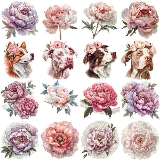 Peonies flowers clipart featuring soft pink spring blooms