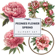 Peonies flowers clipart featuring soft pink spring blooms